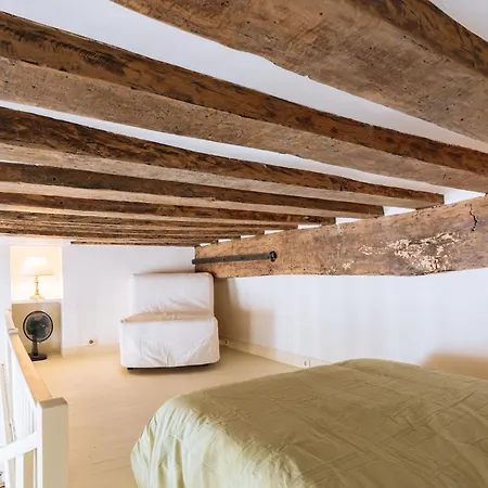 Centrally Located Duplex Notre Dame Lejlighed Paris